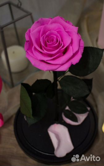 Роза в колбе