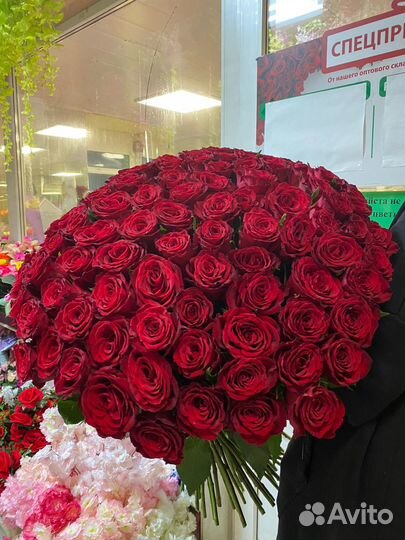 Розы 101 51 букеты цветы