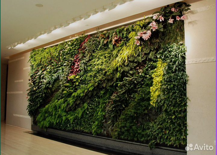 Зеленое вдохновение: фитокартина Арт: 214917