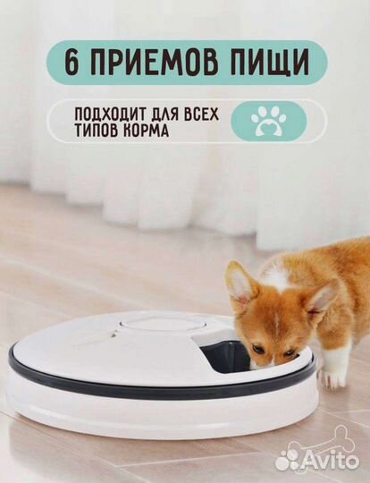 Электронная кормушка для животных