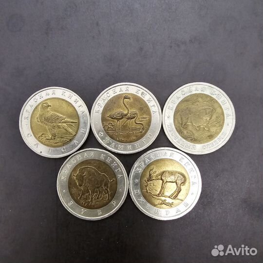 Монеты красная книга