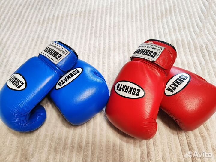 Боксерские перчатки Eskhata ring 10 унций