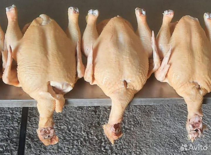 Мясо кур