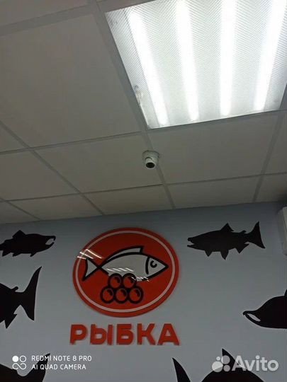 Оборудование для интернета в дом / для бизнеса