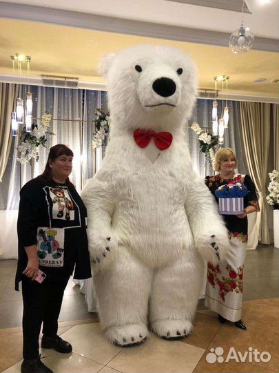 Белый Мишка Поздравление