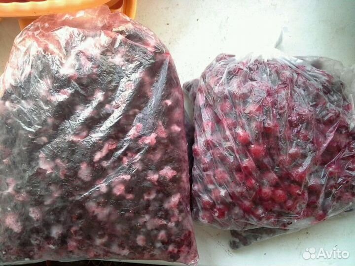 Крыжовник, ежевика,слива,калина,черноплодка