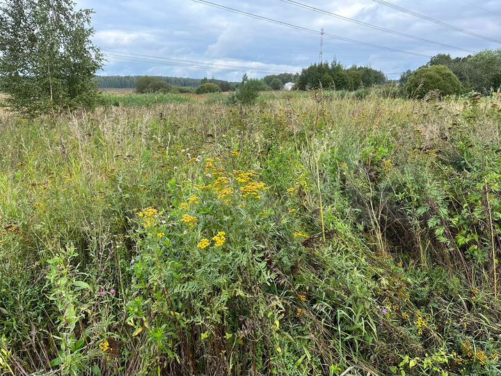 Участок 6 сот. (ИЖС)