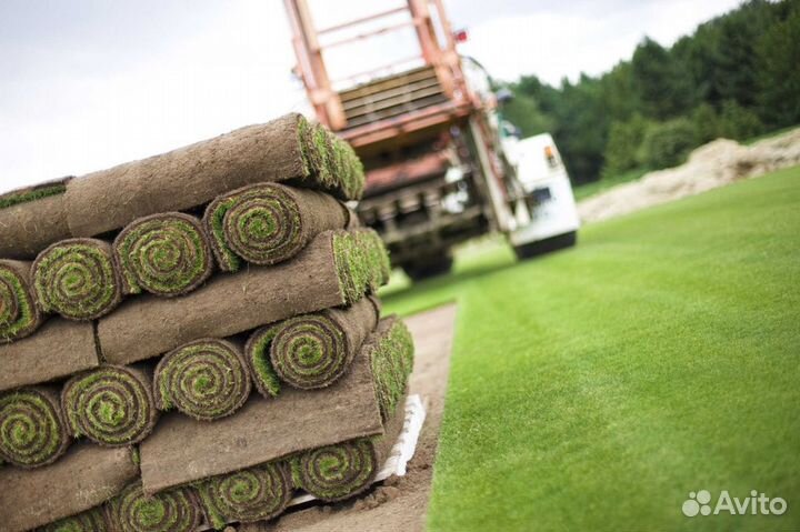 Укладка рулонного газона