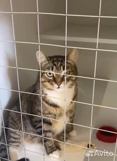 Никто не замечает