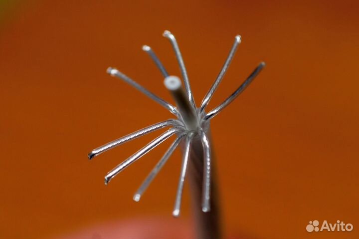 Акустический кабель QED Signature Revelation