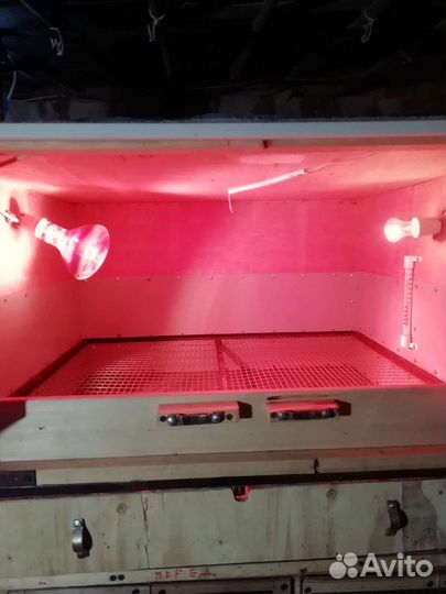 Брудер для суточной птицы автоматический