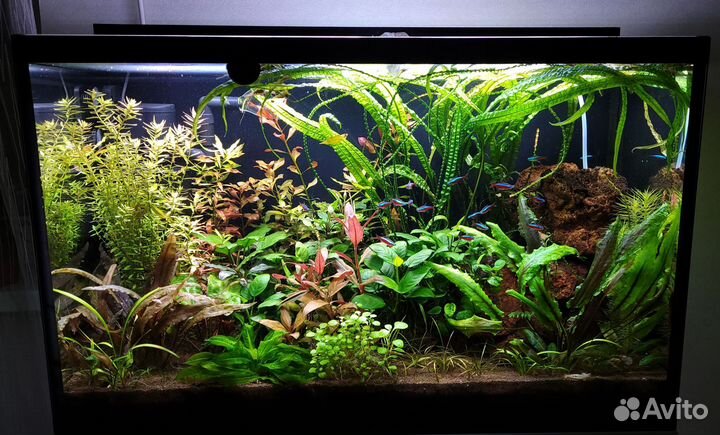 Светодиодное освещение для аквариума