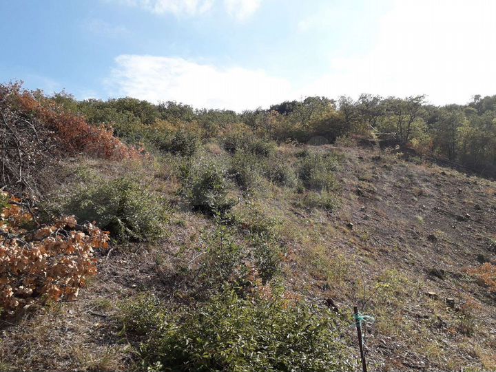 Участок 4 сот. (ИЖС)