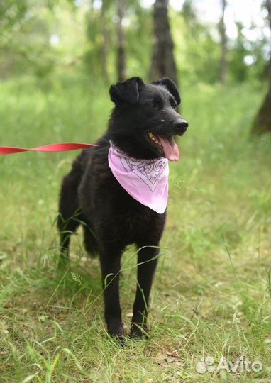 Молоденькая девочка в дар