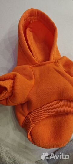 Толстовка худи для маленького котика