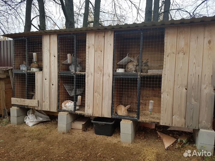 Крольчатня