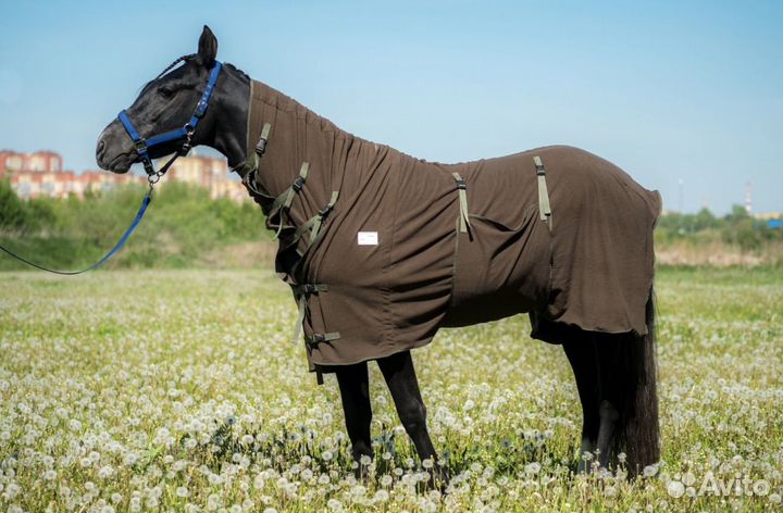 Попона для лошади сушильная с капопрм, 145 см