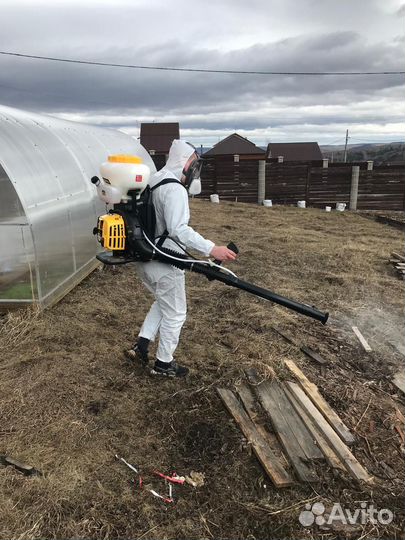 Уничтожение тараканов, клопов, блох. Дезинфекция