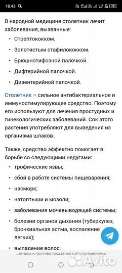 Росток алоэ древовидный лечебный