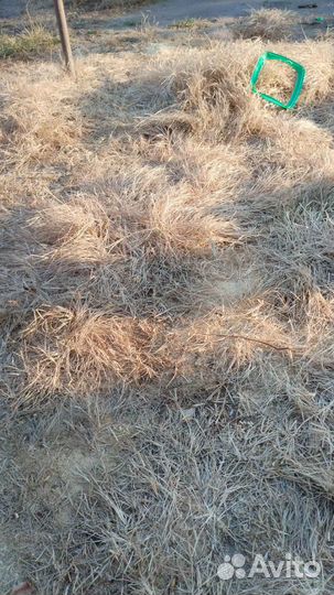 Концентрат для удаления растений Раундап торнадо