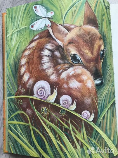 Бемби” книга