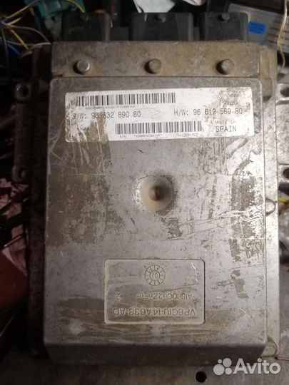 Эбу. Мозги. Пежо боксер