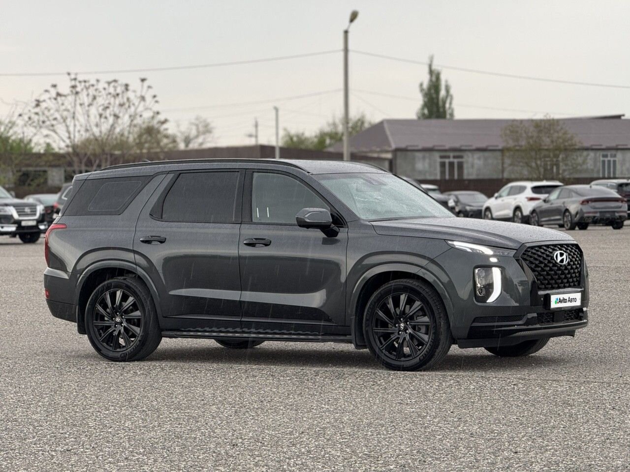 Hyundai Palisade: фото владельца