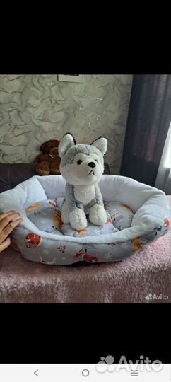 Для животных