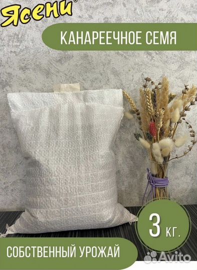 Канареечное семя