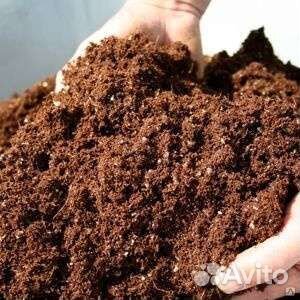 Навоз в Томске