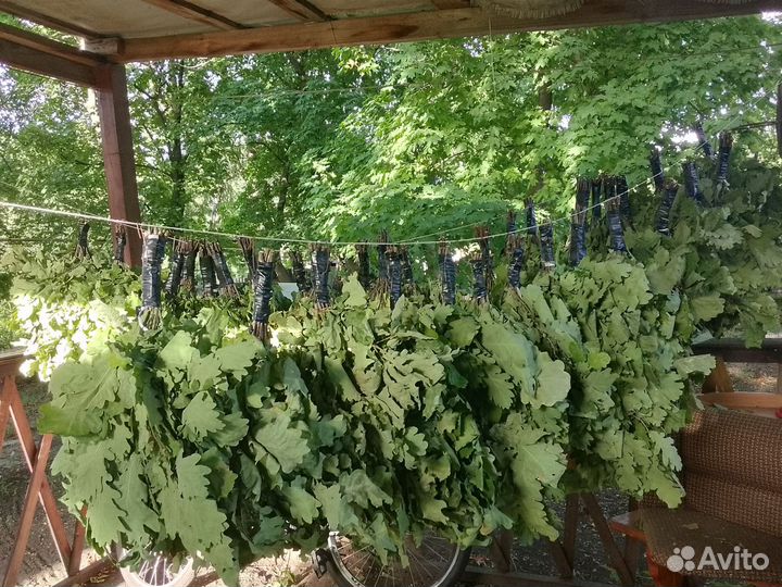 Веники для бани