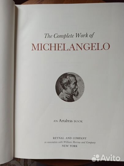 Книга Микеланджело