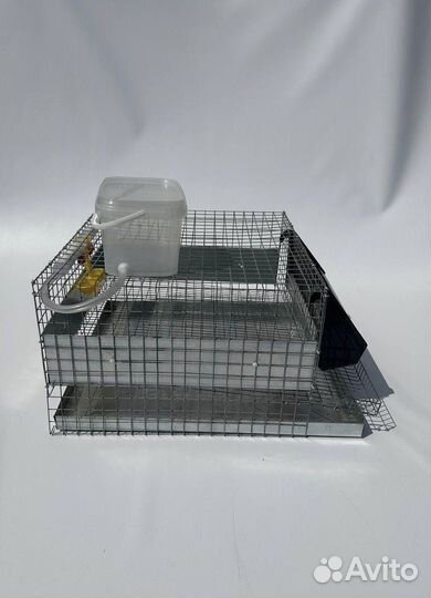 Клетка для 20 перепелов