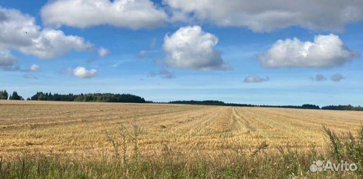 Солома в мешках