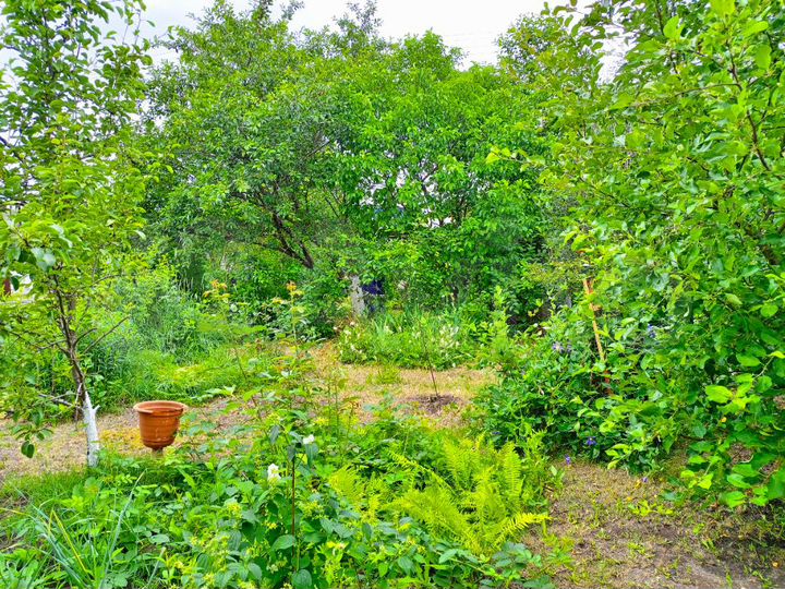 Дом 24 м² на участке 8 сот.