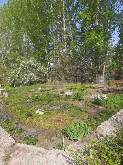 Участок 4 сот. (СНТ, ДНП)