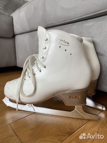Фигурные коньки edea oventure 260