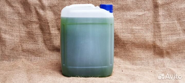 Хлорелла для пруда