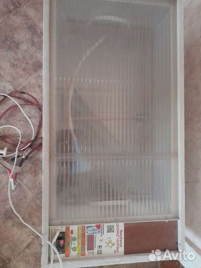 Инкубатор для яиц