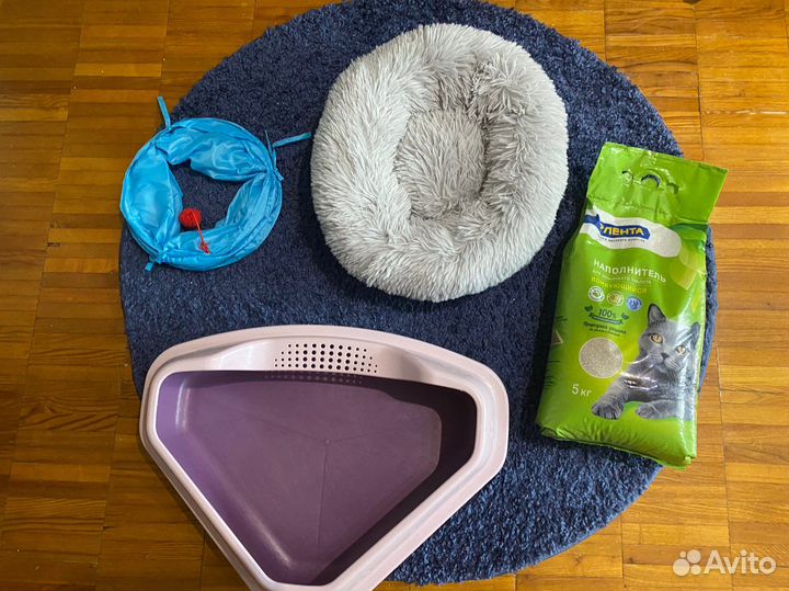 Набор для питомца (лежанка,туалет,игрушка)