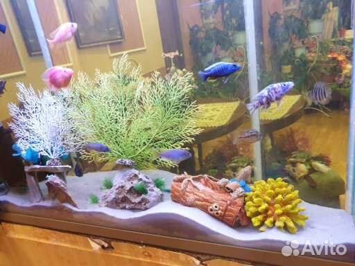 Аквариум 200 Л