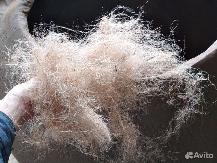 Тандыр 40 Лепешек