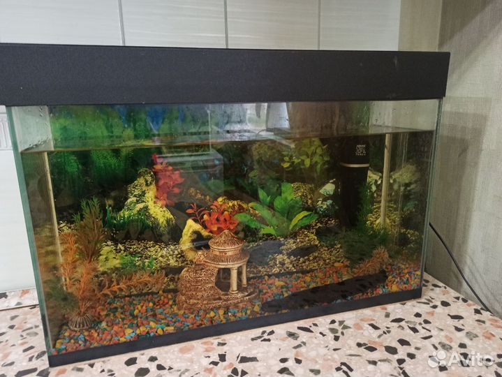 Аквариум
