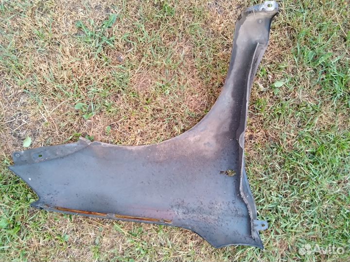 Крылья передние