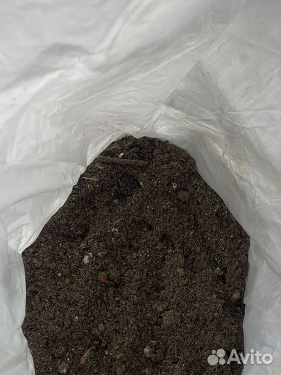 Зола (древесная)