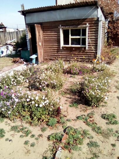 Дом 42 м² на участке 18 сот.