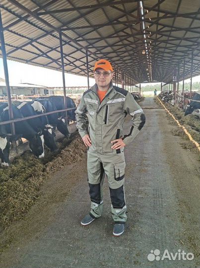 Осеменение коров l Узи коров и тёлок