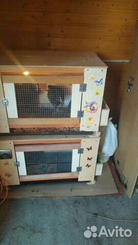 Брудер для цыплят на 50 голов