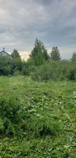 Участок 12 сот. (СНТ, ДНП)