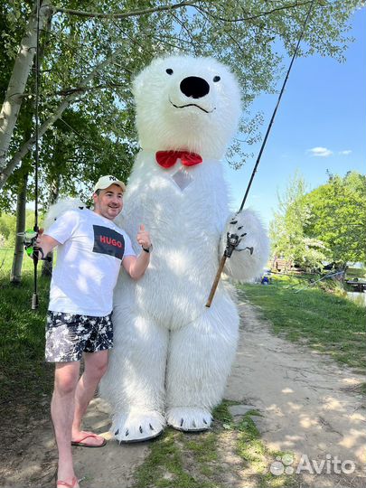 Поздравление от Белого медведя; Бурого мишки